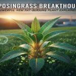 Lyposingrass Breakthrough: Powerful New Fat-Burning Plant Explained